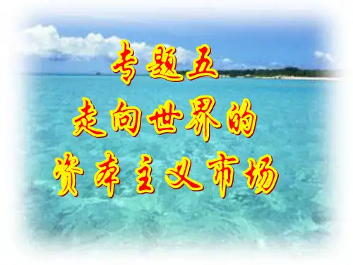 高中历史必修二《专题五走向世界的资本主义市场一开辟文明交往的航线》46人民版PPT课件