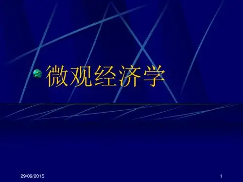 微观经济学课件_微观经济学