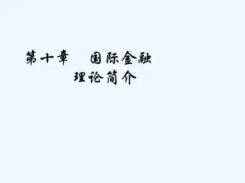 第十章 国际金融 理论简介
