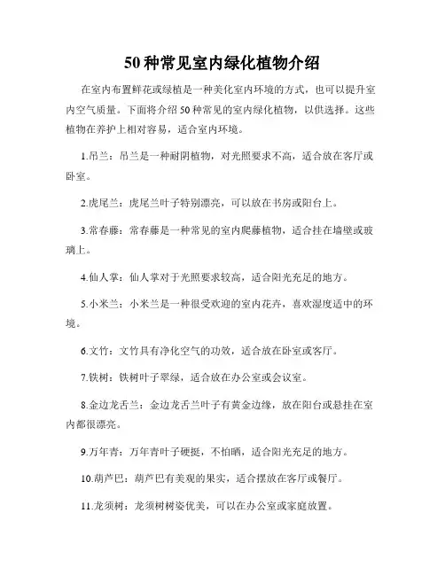 50种常见室内绿化植物介绍