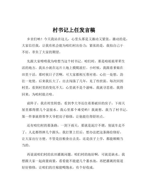 村书记上任发言稿