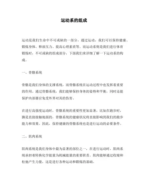 运动系的组成