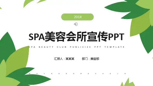 美容整形ppt模板 (33)