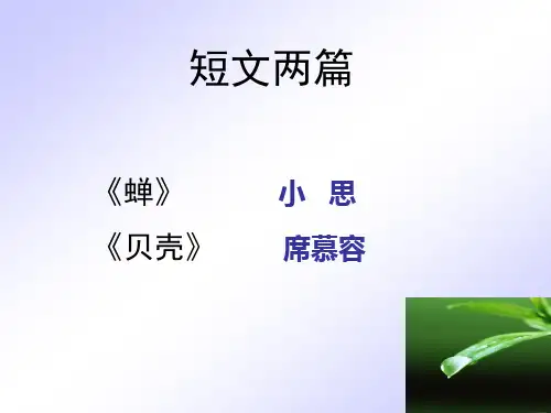 《蝉》《贝壳》“以小见大”的写作手法