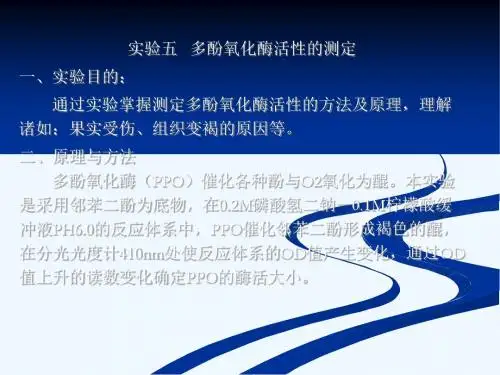 多酚氧化酶活性的测定