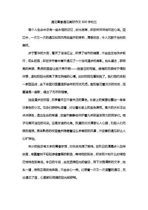 遇见青春遇见美好作文600字初三