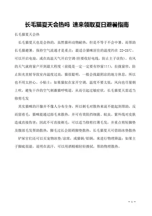 长毛猫夏天会热吗 速来领取夏日避暑指南