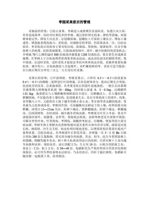 枣园采果前后的管理