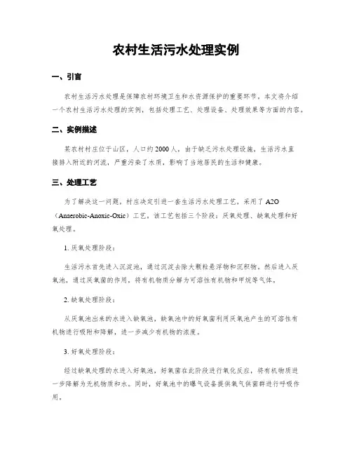 农村生活污水处理实例