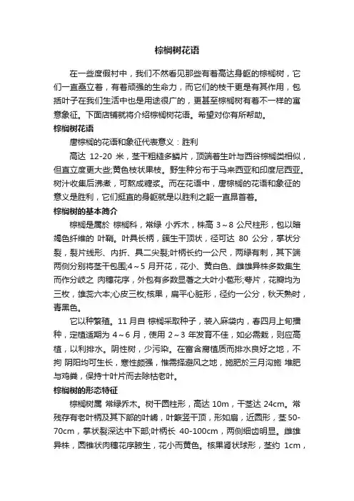 棕榈树花语