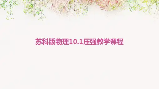 苏科版物理10.1压强教学课程PPT