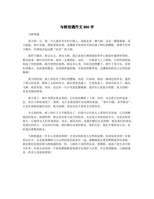 与树相遇作文800字