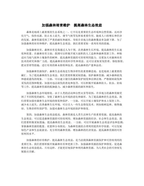 加强森林培育维护 提高森林生态效益