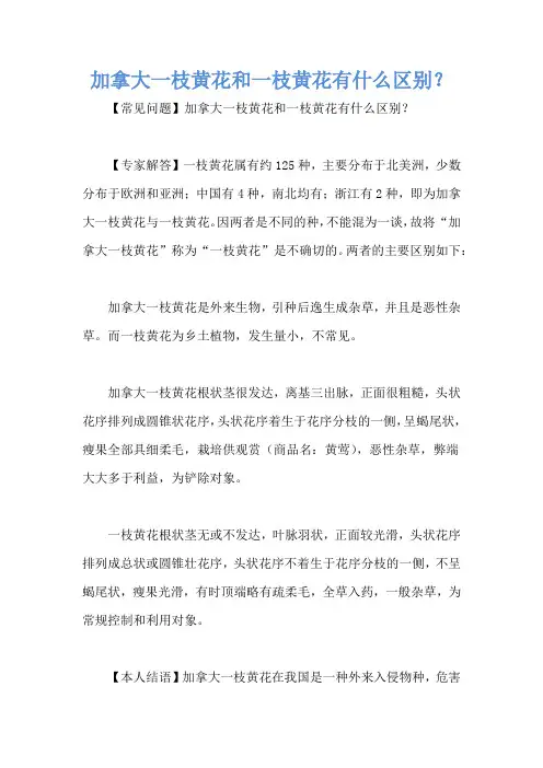 加拿大一枝黄花和一枝黄花有什么区别？