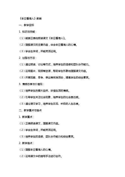 《冬日看海人》教案