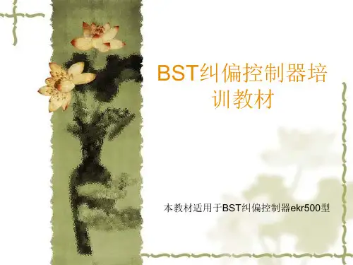 BST纠偏控.ppt