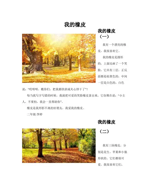 我的橡皮(共10篇)
