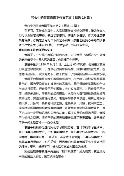 我心中的英雄袁隆平作文范文（精选19篇）