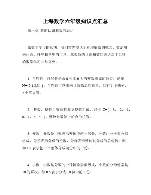 上海数学六年级知识点汇总