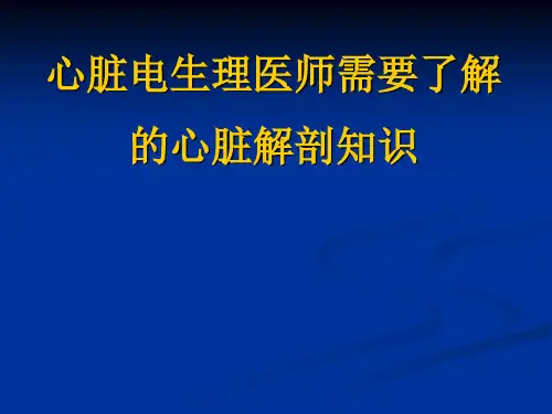 心脏电生理医师需要了解的心脏解剖知识 PPT