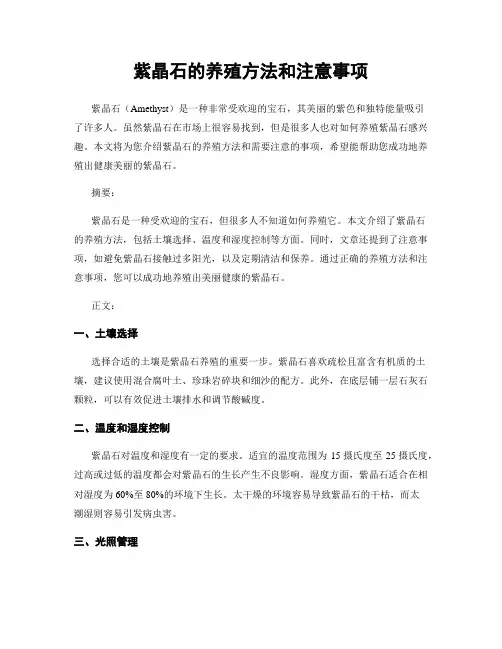 紫晶石的养殖方法和注意事项