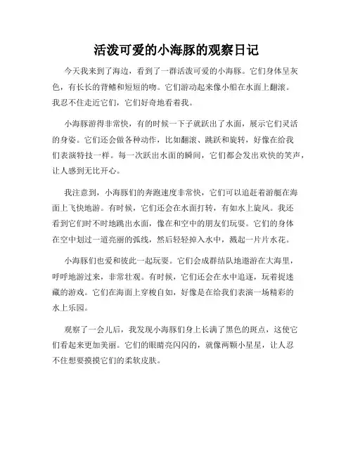 小学三年级作文活泼可爱的小海豚的观察日记