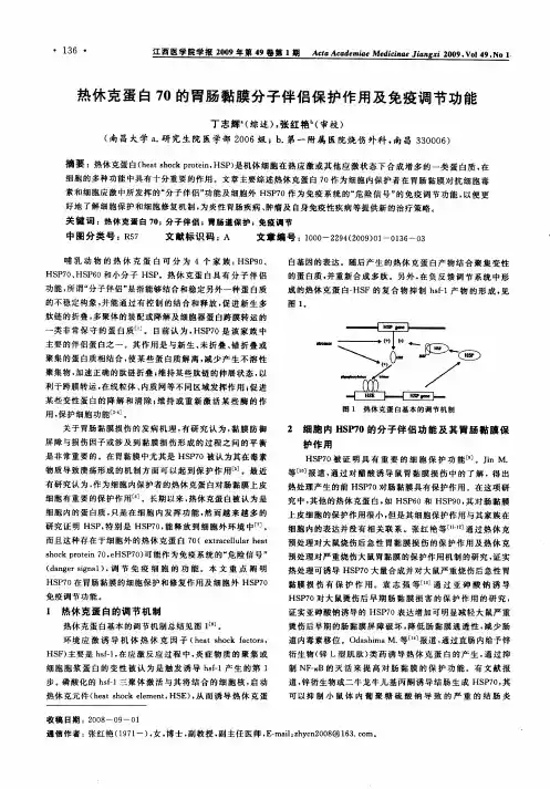 热休克蛋白70的胃肠黏膜分子伴侣保护作用及免疫调节功能