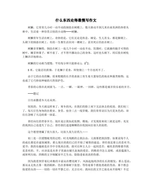 什么东西走得最慢写作文
