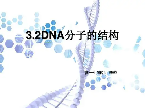 高中生物必修2《第1章人类探索遗传物质的历程二寻找遗传物质》518北师大PPT课件