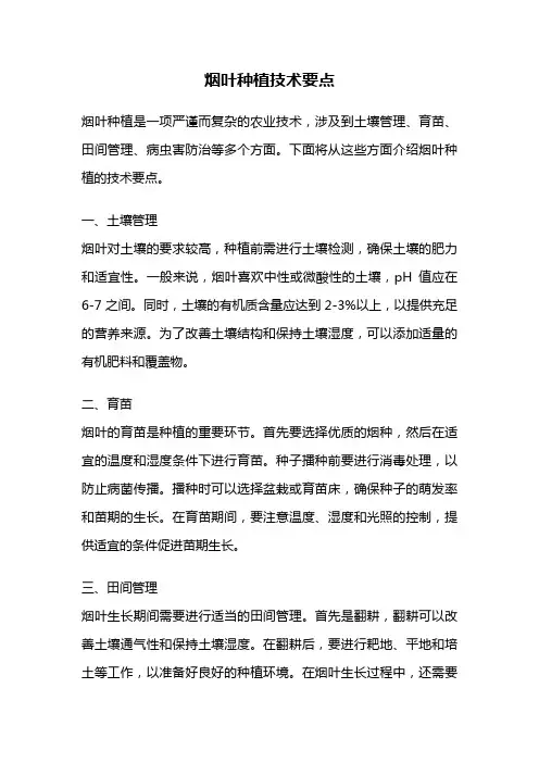 烟叶种植技术要点
