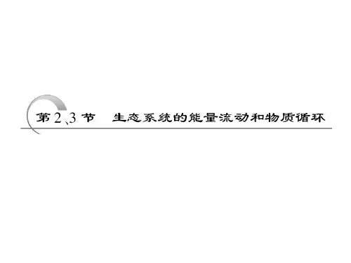 生态系统的能量流动和物质循环.