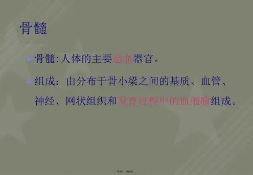 骨髓细胞形态学检查