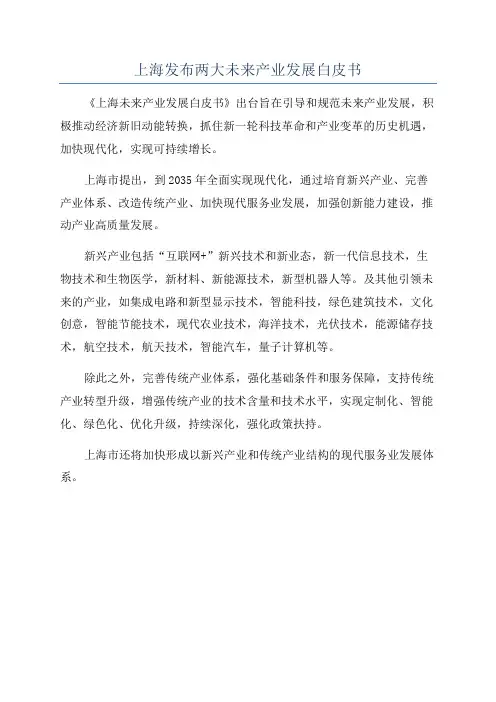 上海发布两大未来产业发展白皮书