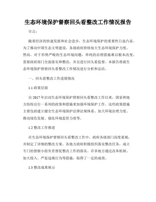 生态环境保护督察回头看整改工作情况报告