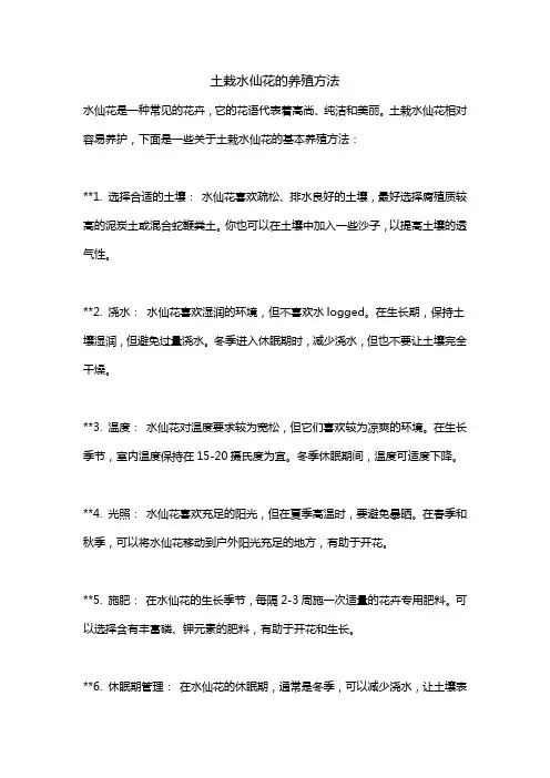 土栽水仙花的养殖方法