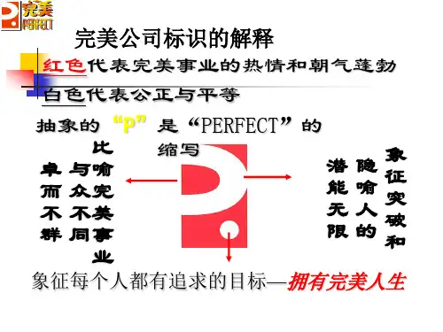 完美公司简介