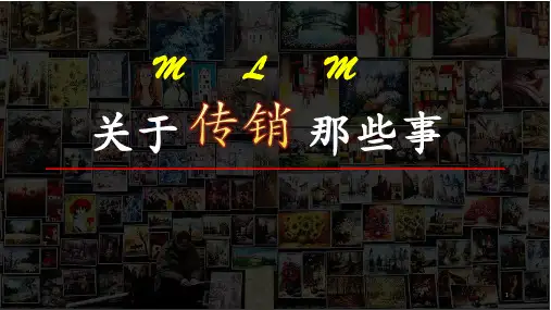 传销演示文稿PPT幻灯片课件