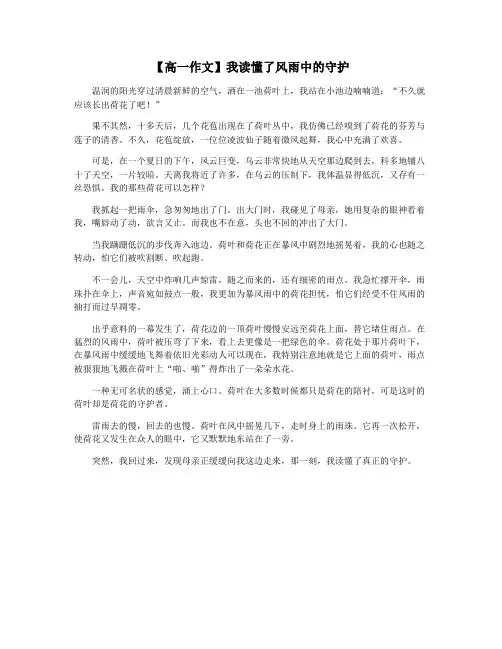 【高一作文】我读懂了风雨中的守护
