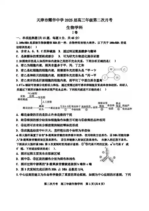 天津市耀华中学2024-2025学年高三上学期第二次月考生物试卷(含答案)