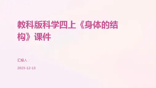 教科版科学四上《身体的结构》课件