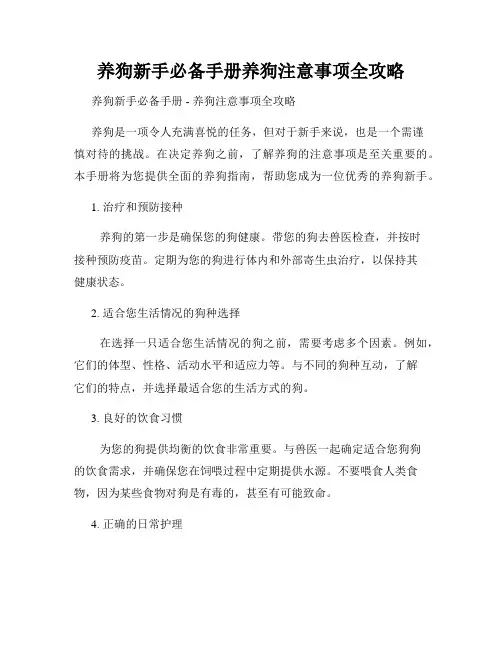 养狗新手必备手册养狗注意事项全攻略