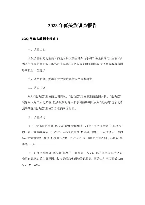 2023年低头族调查报告_8