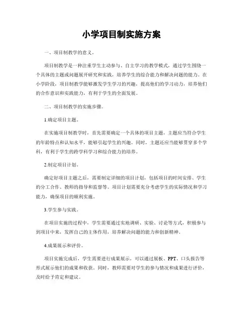 小学项目制实施方案