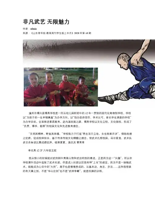 非凡武艺 无限魅力
