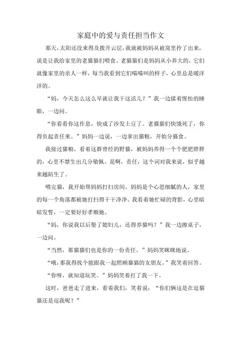 家庭中的爱与责任担当作文精选10篇