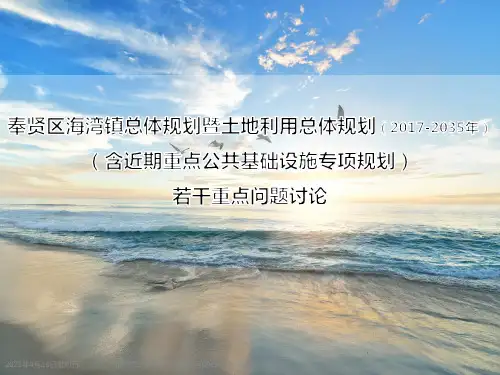 奉贤区海湾镇总体规划暨土地利用总体规划(2017-2035年)(