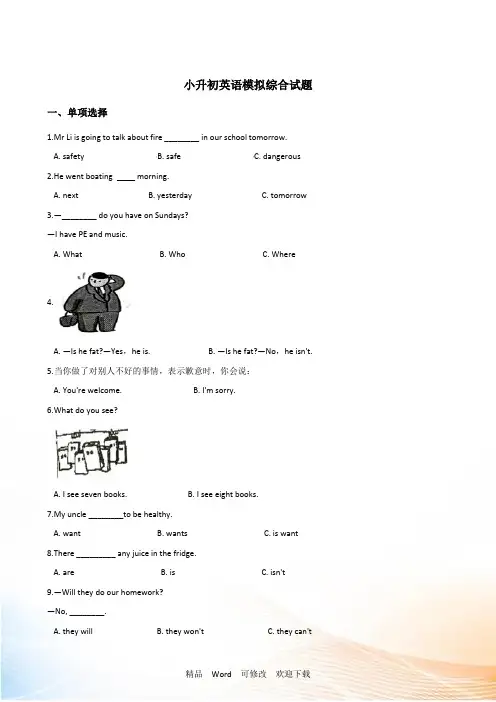 湘少版六年级下册小升初英语模拟综合练习试卷 含答案 (9)