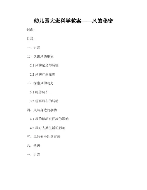 幼儿园大班科学教案——风的秘密