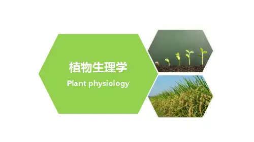 植物生理学-绪论