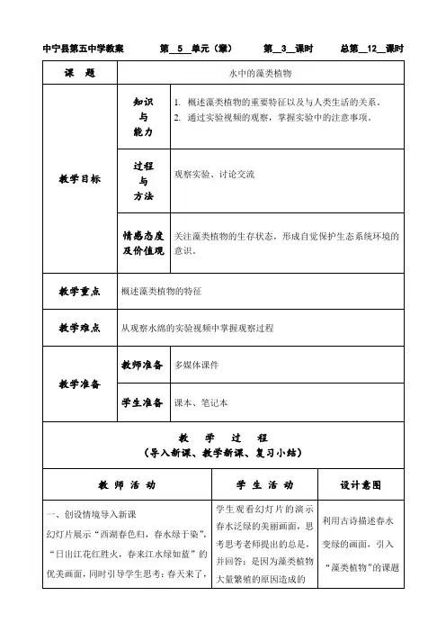 水中的藻类植物教案